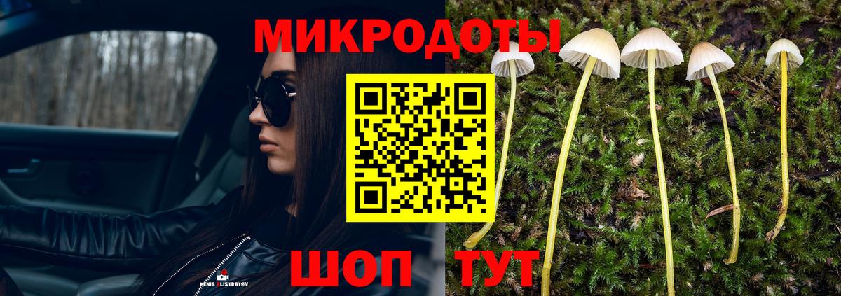 Псилоцибиновые грибы прущие грибы Красногорск