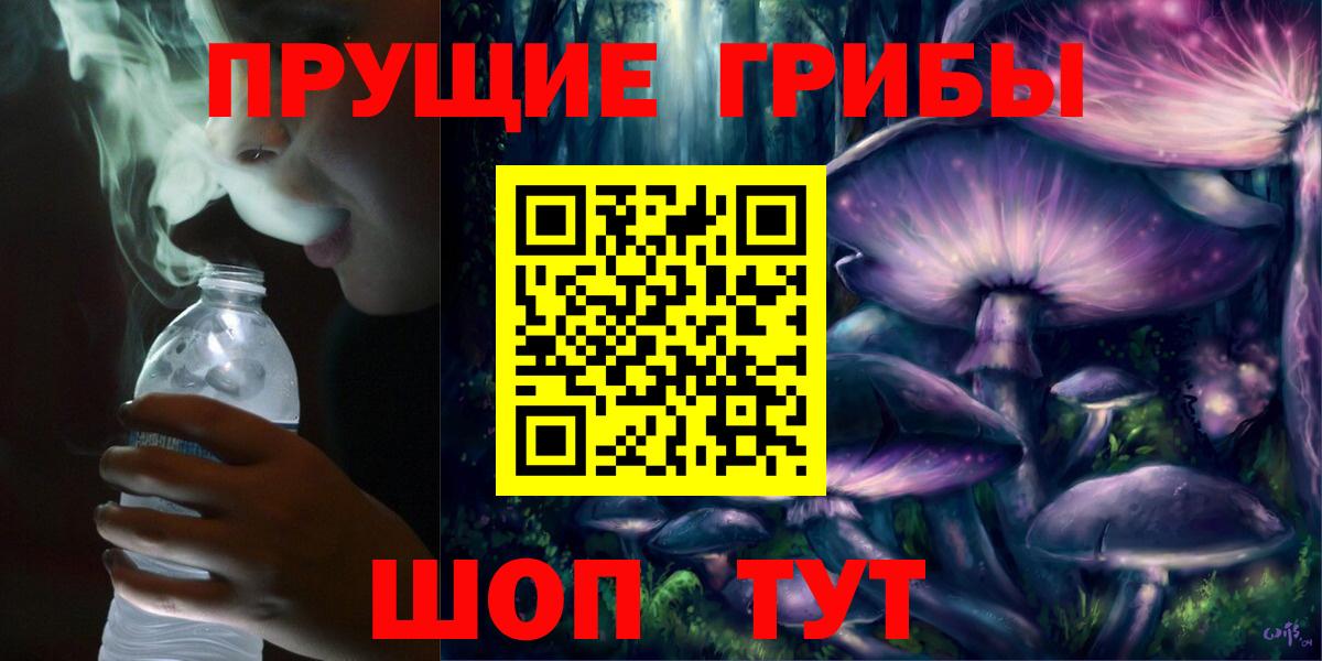 Красногорск  Псилоцибиновые грибы GOLDEN TEACHER  Вход с VPN 